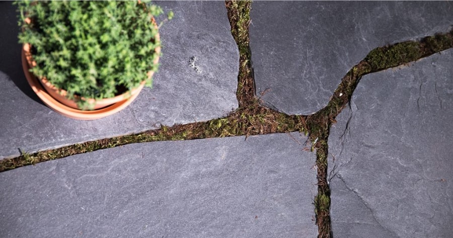 pehmea_sauma-1024x683-min